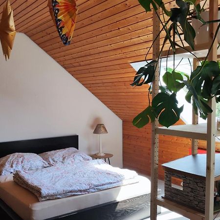 Big Cozy Entire Family Appartment ハノーファー エクステリア 写真