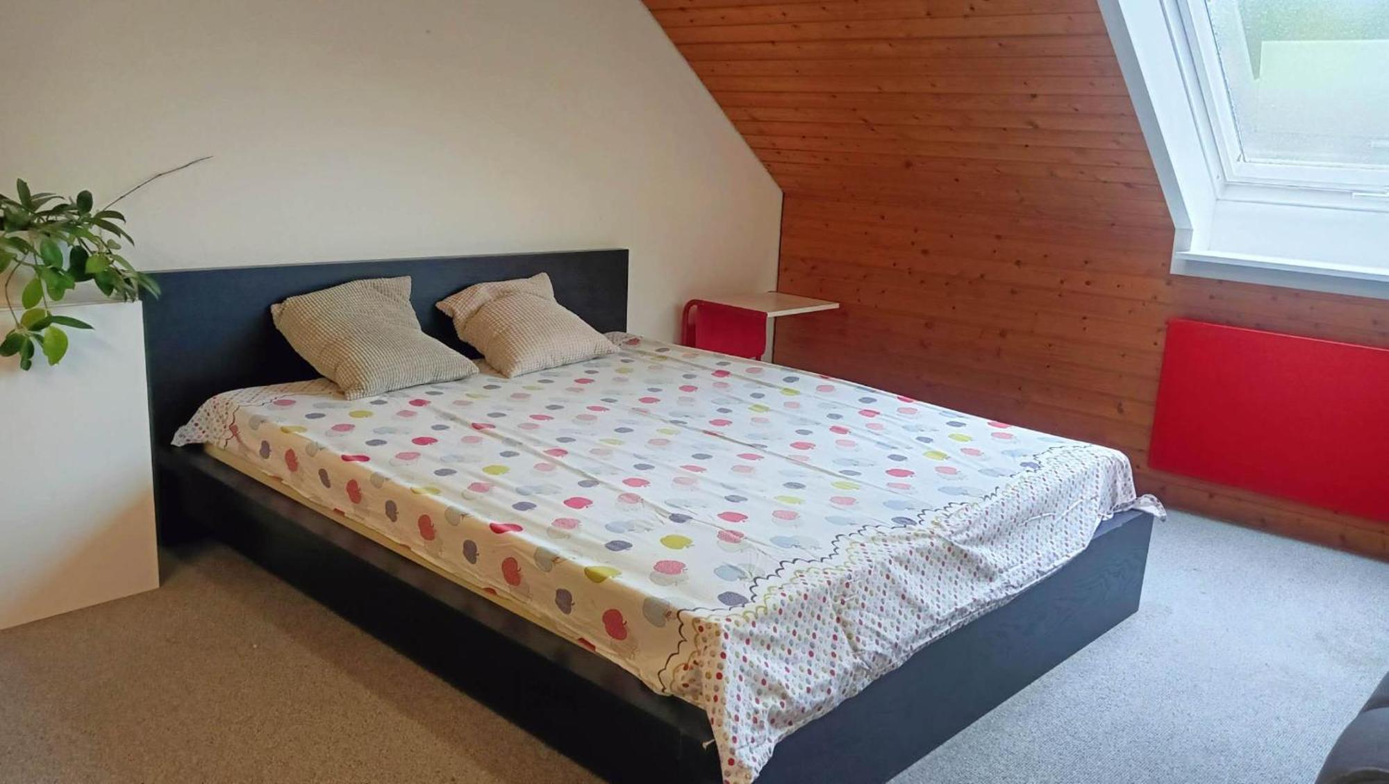 Big Cozy Entire Family Appartment ハノーファー エクステリア 写真