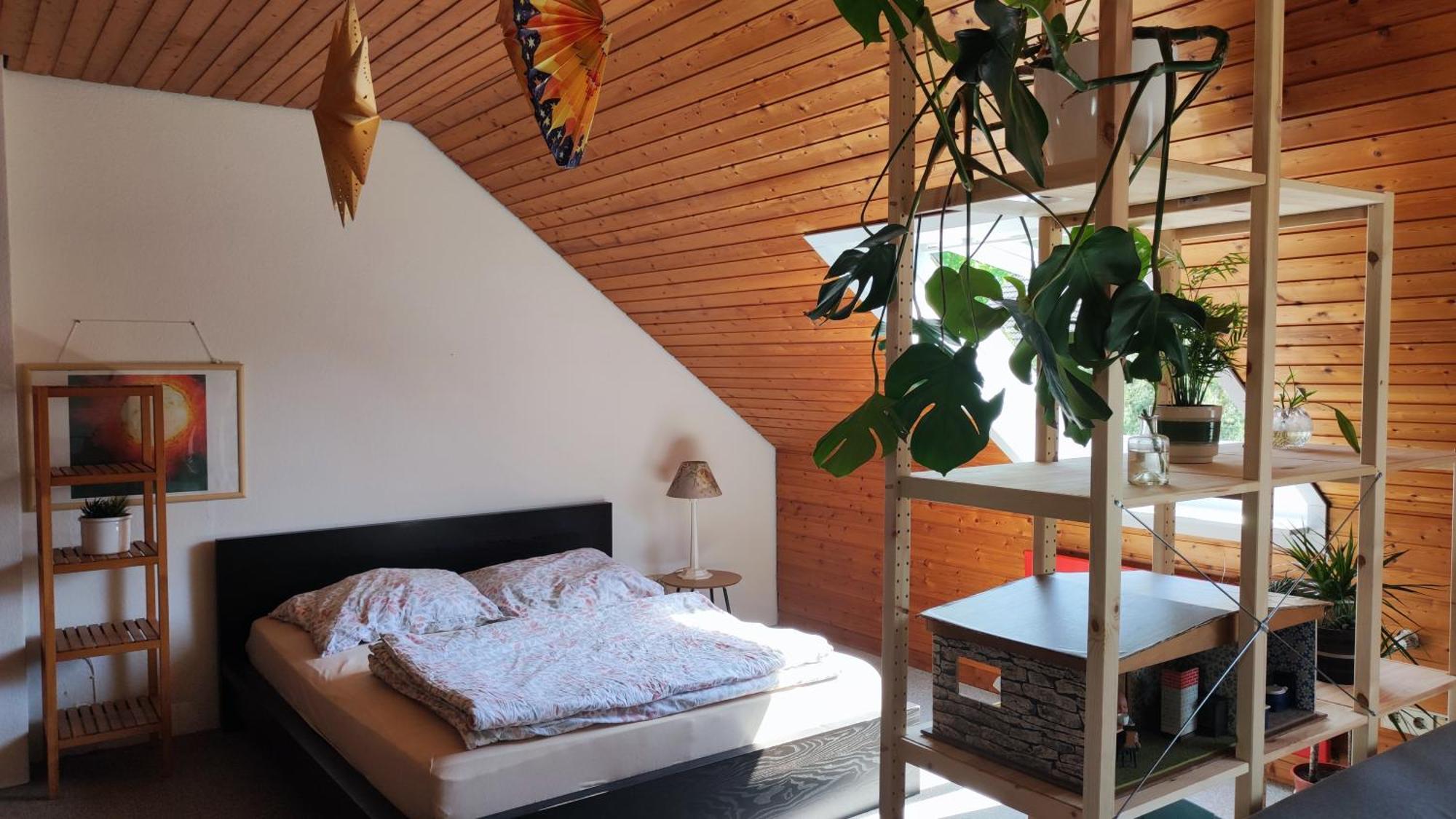 Big Cozy Entire Family Appartment ハノーファー エクステリア 写真